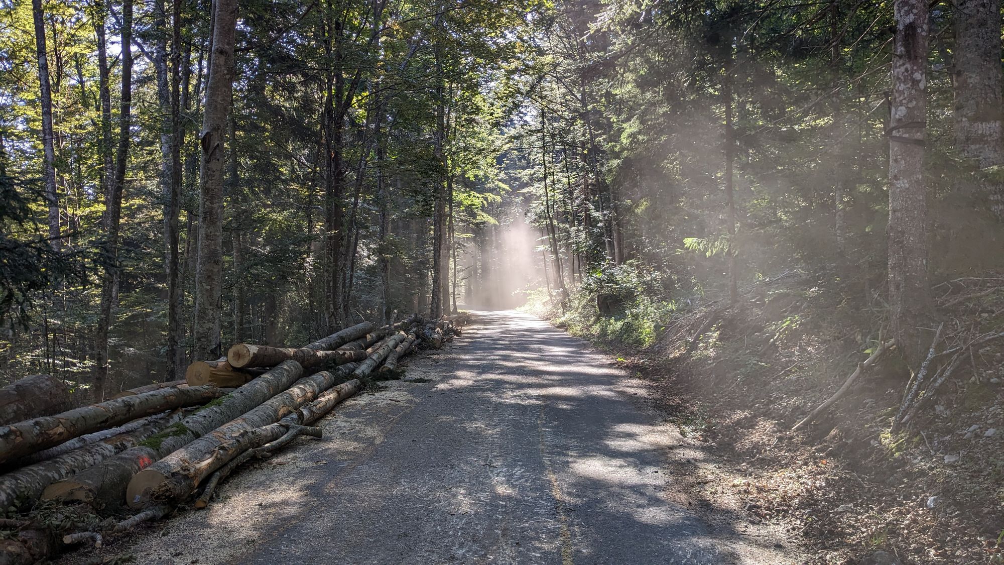 National Park Velebit