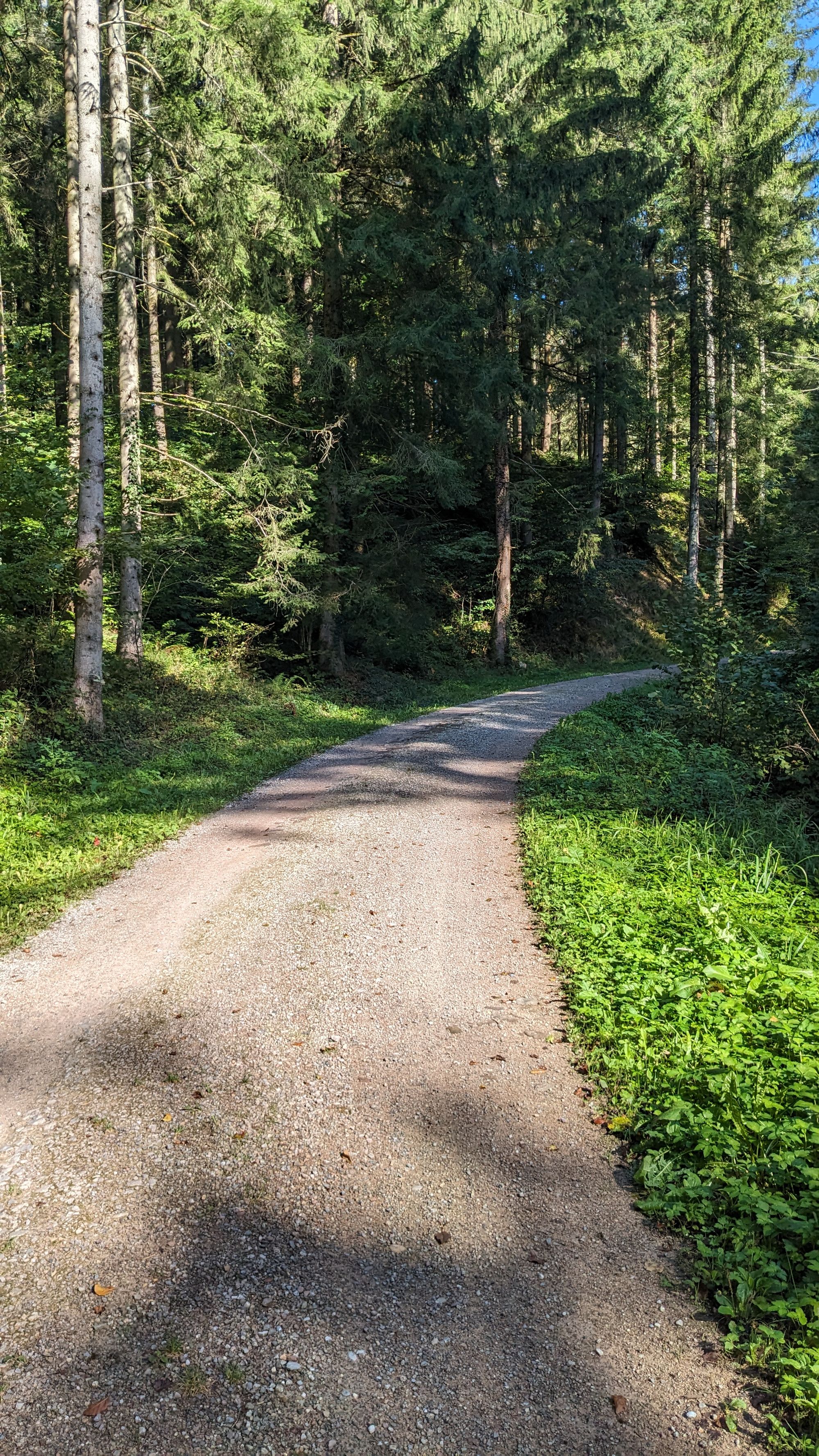 Schwarzwald