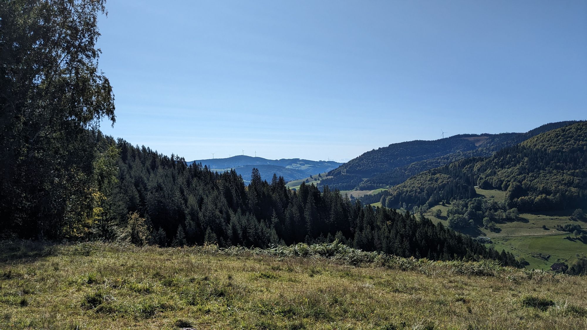 Schwarzwald