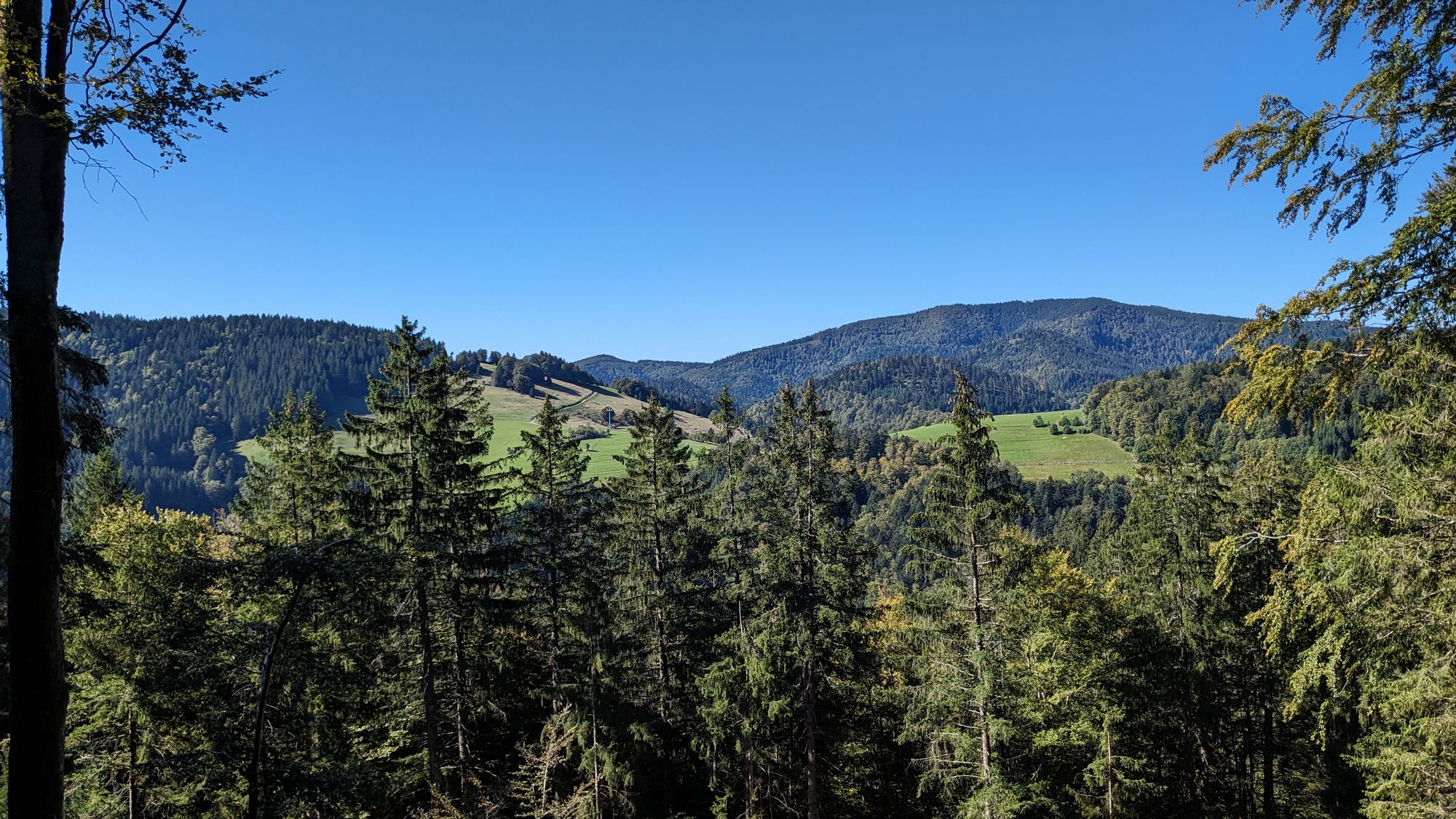 Schwarzwald